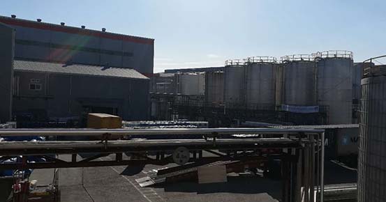 6tph Sulphonation Plant Commissioning Successfully in Korea