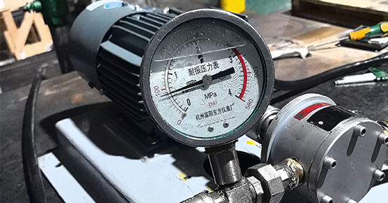 Inspection and commissioning of gear pumps for India's single tube pilot plant