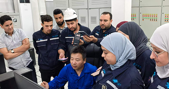 🚀 Weixian Supplied 2.5 tph Sulphonation Plant in North Africa Enters Pre-Commissioning Phase